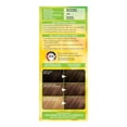 thumbnail image 3 of Garnier Nutrisse Ultra Crème, Coloration Permanente, Longue-Durée, 1 unité, 3 of 6