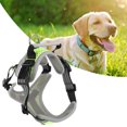 thumbnail image 4 of Pet Dog Vest, Comfortable Dog Harness Soft  For Running For Walking S, 4 of 8