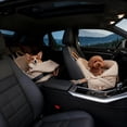 thumbnail image 3 of WIFKLSIIPG Sac Fourre-Tout Polyvalent Matelassé à Main pour Petits et Chats Lit de Voyage Convertible, 3 of 3