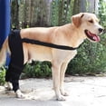 thumbnail image 2 of Adjustable Dog Hind Leg Support Brace - SBR Material Knee Protector for Joint Injury Recovery, Arthritis Pain Relief & Wound Protection - Flexible Pet Leg Guard for Running/Training - Black, Size M, 2 of 6