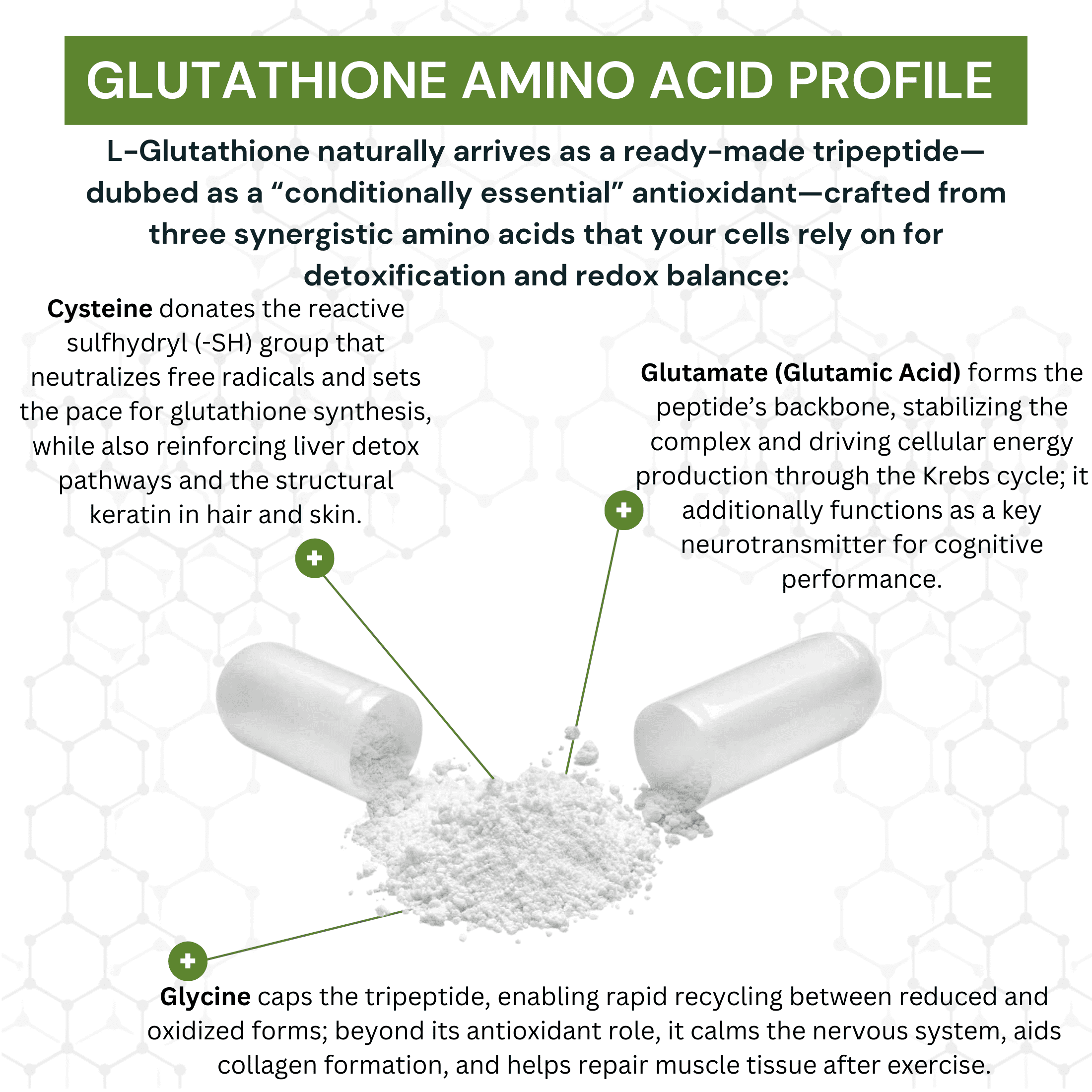 l-glutathion kaufen Glutathion Kapseln in bioaktiver Form mit 500mg/Kapsel online kaufen   QIDOSHA