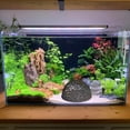 thumbnail image 3 of Pet Supplies Mini Shelter Hemispherical Hiding Space for Tank Ideal for, 3 of 3