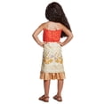 thumbnail image 3 of Disguise Disney Moana Classic Toddler Costume, 3 of 4