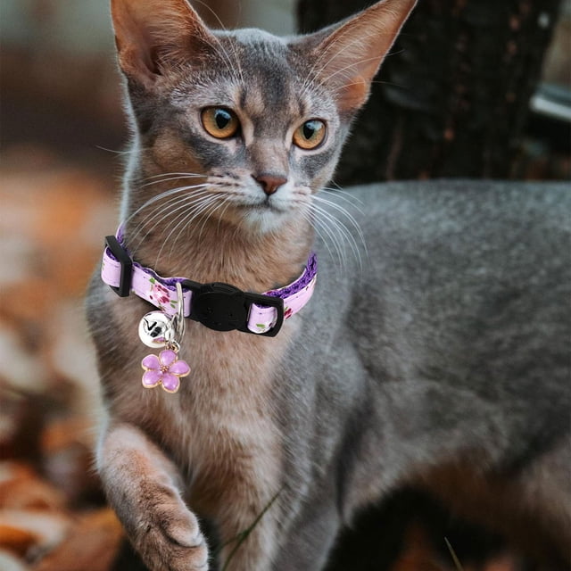 Fragmented Cat Ribbon Cat Collar Fresh Little Fragmented Cat Ribbon Cat Collar, 4x14x2 cm, Purple