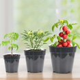 thumbnail image 2 of GLFILL 10pcs Transparent Plastic Planting Pots Breathable Transplant Pots Flower Pots 5.2 inches, 2 of 7