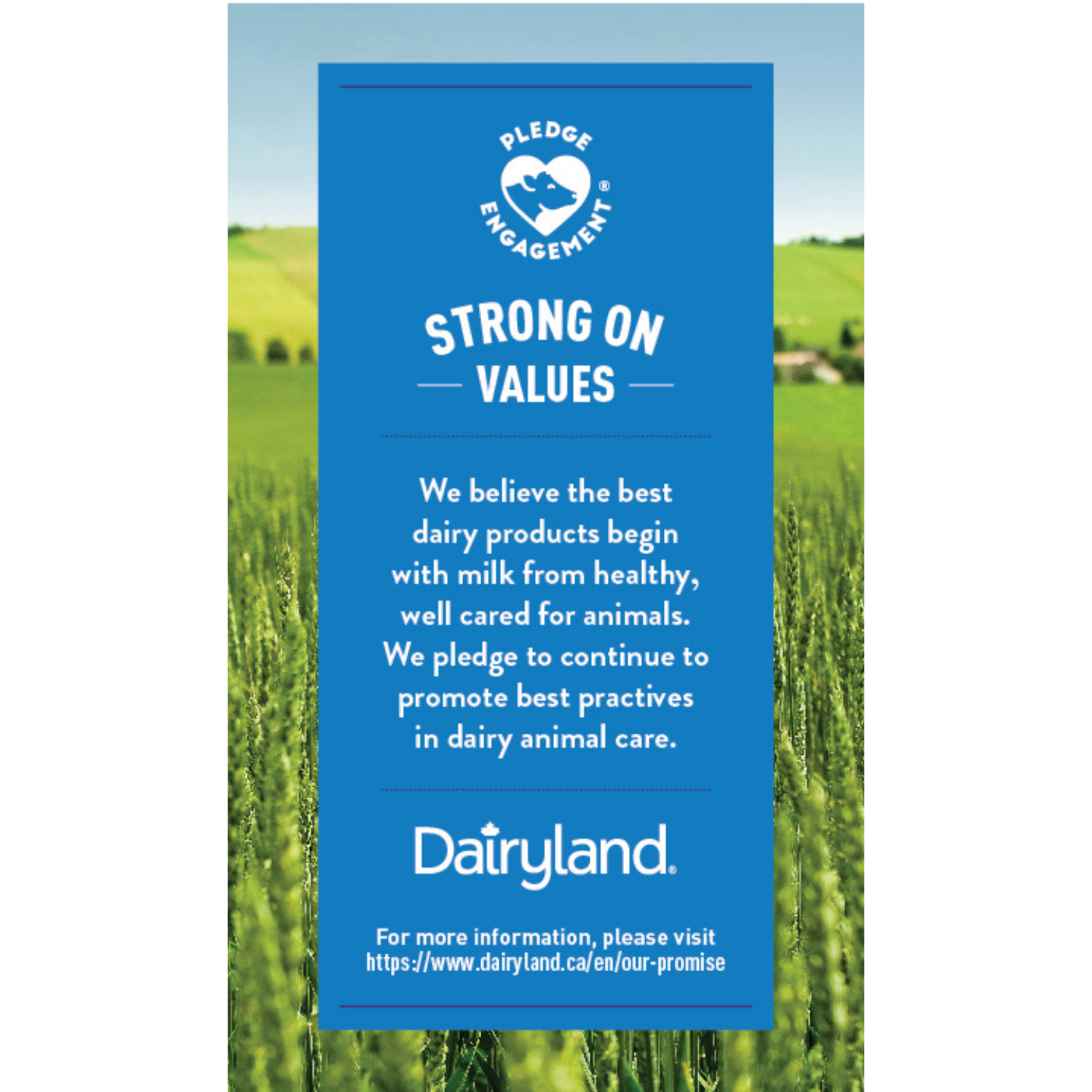 Dairyland Sans Lactose 1 % Lait Partiellement Écrémé