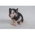 thumbnail image 4 of Hi-Line Gift Ltd Cochon Bébé Assis Brun Foncé, 6 Pouces, 4 of 4