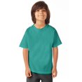 thumbnail image 1 of Hanes T-Shirt à Col Rond à Manches Courtes ComfortWash pour Garçons, G, Spanish Moss, 1 of 3