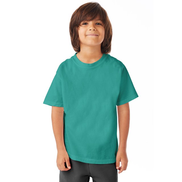 Hanes T-Shirt à Col Rond à Manches Courtes ComfortWash pour Garçons, G, Spanish Moss