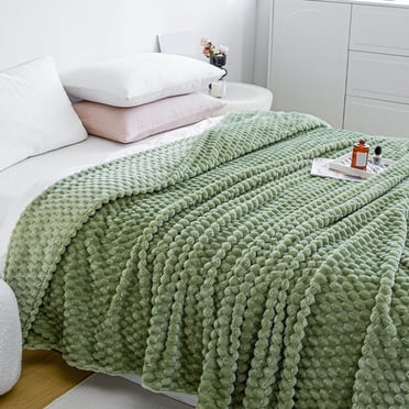 Blankets Queen Size, 50x80 Cozy Soft Lightweight Fuzzy Throw Blanket for Women, Summer Throw Blanket for Bed ,Couch, Warm Gifts for Birthday, Valentine's Day, Mother's Day