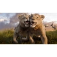 thumbnail image 3 of Mufasa: Le Roi Lion DVD, Disney, starring Aaron Pierre and Seth Rogen, 3 of 5