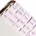 thumbnail image 3 of Idyllic Grace - Mini Bible Tabs, Embossed Gold Foil, Journaling, Small Bibles, Study Tool, 90 Tabs, Old and New Testament, Christian, Catholic, Apocrypha, Index Tabs, Matte Laminated - Mini Blushing, 3 of 3