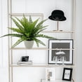 thumbnail image 2 of Mainstays 11.5in Indoor Artificial Plant in Pot, Green Color Fern, 2 of 5