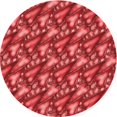 thumbnail image 1 of Ahgly Company Tapis d'Intérieur Ronds Transitionnels Rouges Lavables à la Machine, 5 Pieds Rond, 1 of 7