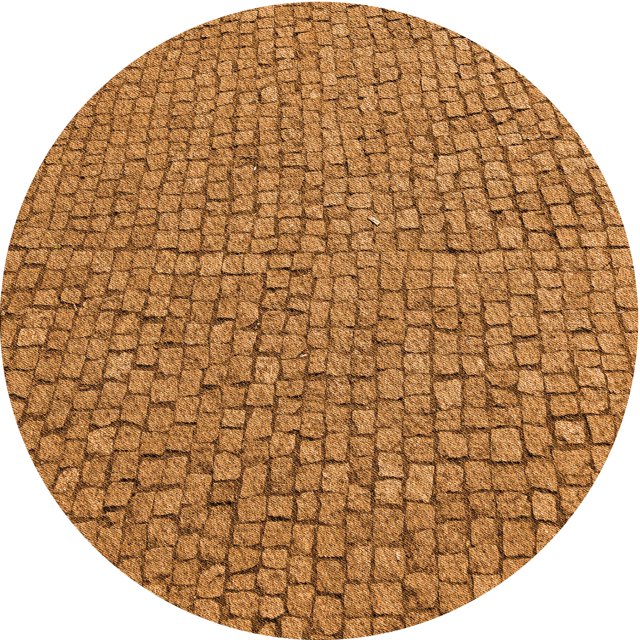 Ahgly Tapis d'Intérieur Lavable en Machine Carré Acajou Brun, 3 Pieds Carré