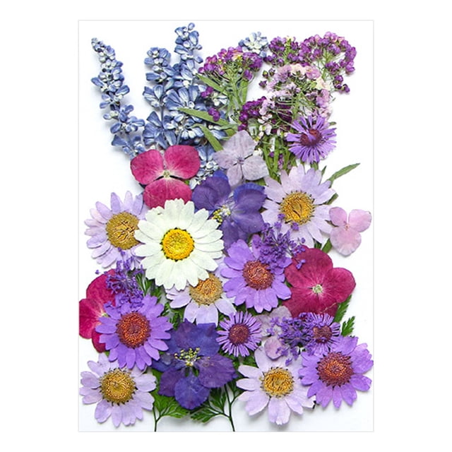 Fleurs Séchées et Embossées pour Kit de Résine Bougies et Bricolage