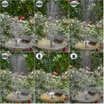 thumbnail image 3 of 2024 Solar Fountain Outdoor With 6 Nozzles Diy Design For Pond Garden_Perfect Gift, 3 of 3