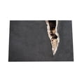thumbnail image 1 of Yhmxh Bathroom Rugs,Rugs for Living Room,Area Rug Halloween Floor Mat with Terrifying Theme,Skull and Print Decoration,Entrance Door Floor Mat,Entrance Door Carpet Entrance Door Dust Carpet, 1 of 1