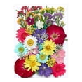 thumbnail image 1 of Fleurs Séchées et Embossées pour Kit de Résine Bougies et Bricolage, 1 of 1