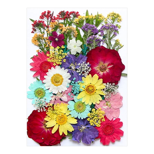 Fleurs Séchées et Embossées pour Kit de Résine Bougies et Bricolage