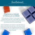 thumbnail image 3 of Cubes de cire parfumée ScentSationals - Citrouille et Crème, 3 of 4