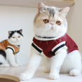 thumbnail image 4 of Chandail pour Chat - Vêtements pour Chien et Chat, 4 of 15