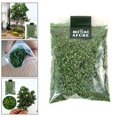 thumbnail image 2 of relayinert Scene Accessories Leaf Micro Landscape Leaves Model for Table Sand Train Greenish 50ml 1Set, 2 of 6