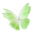 thumbnail image 3 of KLKCMS Artificial Gauze Butterfly with Standing Base Crafts Fake Wedding Decoration Green, 3 of 9