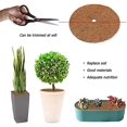 thumbnail image 3 of 4 Pieces Coir Plant Mat, Plant Protection Disc, Coconut Mat Mulch Disc Pot Plant Protection Mat for Home Hotel Garden (30cm), 3 of 5