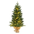 thumbnail image 1 of Patiojoy 3 FT Pre-lit Artificial Entrance Christmas Tree Small Tabletop Xmas Fir Tree Warm White LED Lights Seasonal Decoration Tree, 1 of 10