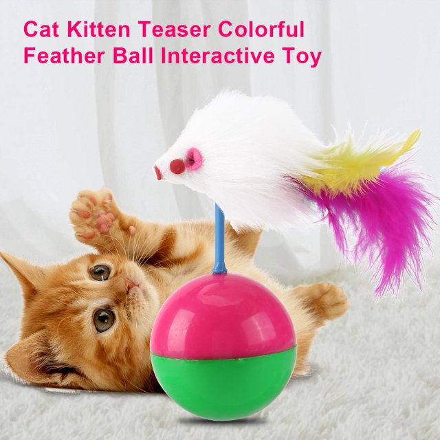 Cat Teaser,Pet Cat Kitten Teasing Cat Teasing Toy Feather Cat Teasers Tried and Trusted