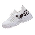 thumbnail image 4 of Chaussures de Marche Épaisses Léopard pour Femmes, Confortables, en Maille, Mousse à Mémoire, Entraînement, Tennis, Course, Espadrilles, 4 of 5