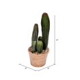 thumbnail image 2 of Vickerman FE192810 10.5 in. Green Potted Cactus Plastic Planter Pot, 2 of 2