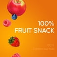 thumbnail image 3 of SunRype Fruit to Go 100 % Collation aux Fruits, 3 of 7