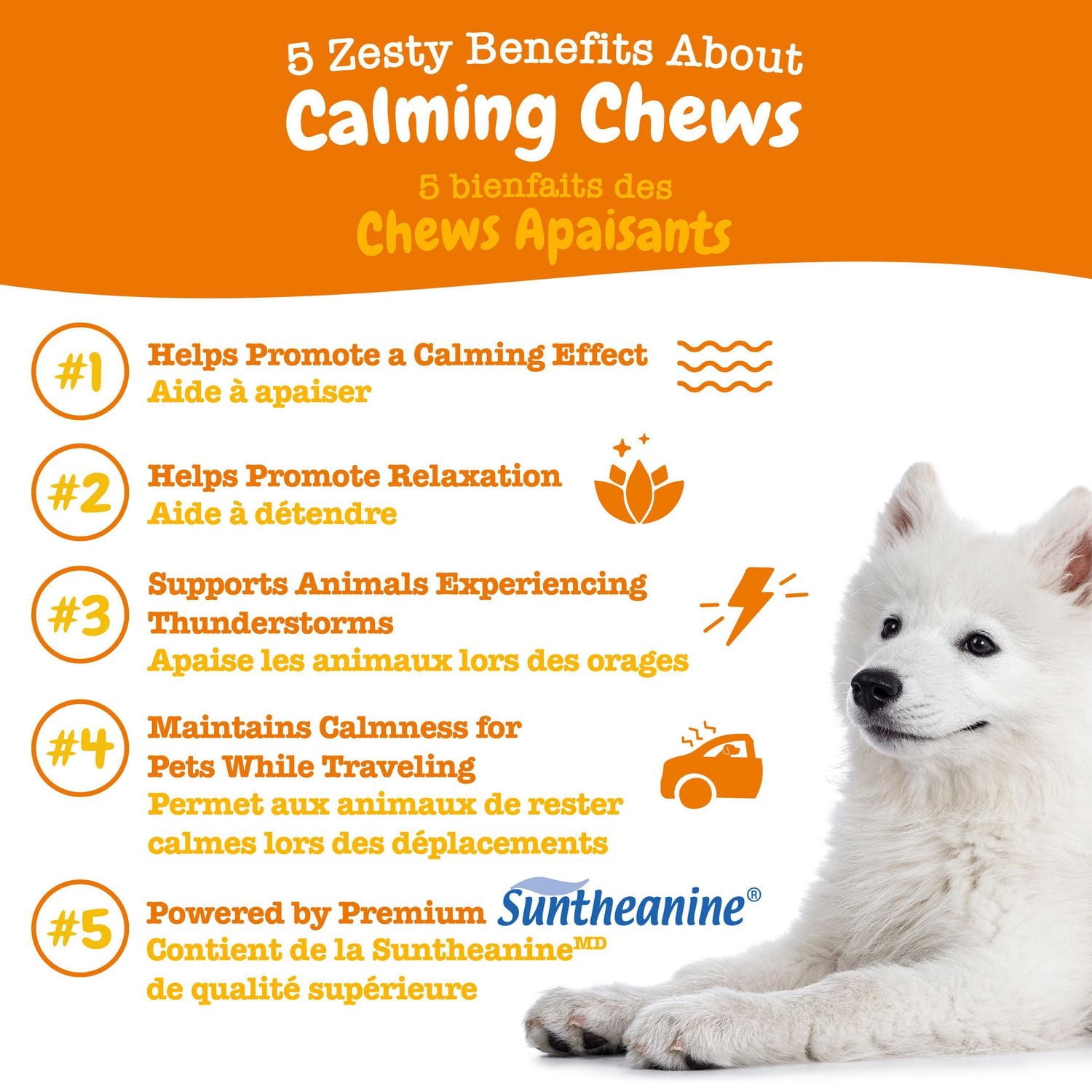 Zesty Paws Calming Chews, Suppléments pour chiens à saveur de dinde, 60 ct