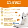 thumbnail image 2 of Zesty Paws Calming Turkey Daily Soft Chews Dog Supplement, 2 of 9