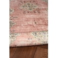 thumbnail image 2 of Blanton 2' x 3' Washable Accent Rug, Pink and Ivory, 2 of 7