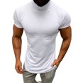 thumbnail image 1 of Birdeem Hommes Décontracté Printemps Été Uni Col Montant pour Amincissant Manches Courtes Col Roulé Hauts Blouse Chemises, 1 of 7