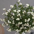 thumbnail image 2 of TopLLC Artificial Flowers, Fake Flowers Artificial Flowers Long Small Roses Modern Living Room Decorations Table Flowers Flower Arrangements Artificial Flower Bouquets Fake Roses, 2 of 3
