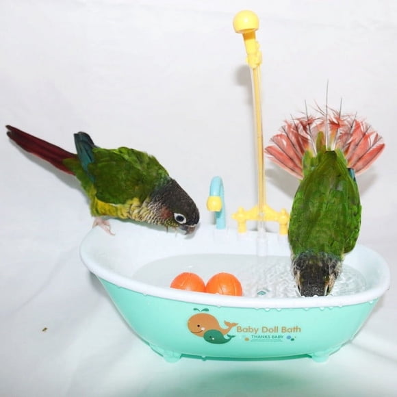 Dianli Bain d'Oiseaux Bain d'Oiseaux pour Animaux Bain Automatique pour Perroquet Baignoire Multifonction Mignonne Boîte de Douche Autonettoyante Sécuritaire pour les Animaux Bain d'Oiseaux Facile à Nettoyer pour Perruche Petite à Moyenne Cockatiel Perruche