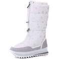 thumbnail image 1 of DAMAIE Bottes d'Hiver Imperméables pour Femmes, Doublées de Fourrure, Bottes de Neige Givrées, 1 of 7