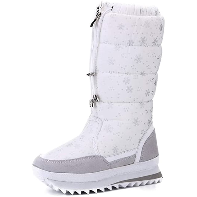 DAMAIE Bottes d'Hiver Imperméables pour Femmes, Doublées de Fourrure, Bottes de Neige Givrées