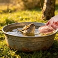thumbnail image 4 of Tong 1Pcs Bird Bath Disc Pure Copper Bird Bath Purification Disk 4Inch 0.7MM Thick Self Cleaning Design For Clean Water All Year Disks For Outdoor Birdbaths Bowls Founta, 4 of 6