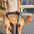thumbnail image 4 of letairis Padded Dog Lift Harness Support Disable Dogs Walk Assist Sling Lifter with Handle Walk Full Body, 4 of 9