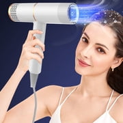 Birdeem Electric Hair Dryer High-Power Electric Hair Dryer Home Hair Dryer Hot Wind Comb Hair Salon Blowing Comb