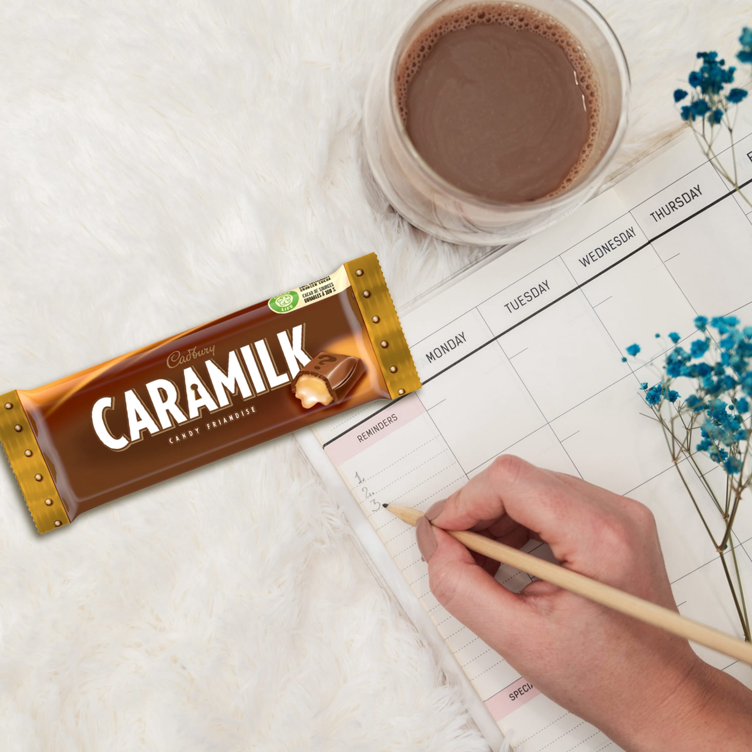 Cadbury Caramilk, Barres de Friandises Chocolatées, Emballage Multiple, Caramel, Lot de 4