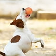 thumbnail image 4 of Sales Today Clearance! Interactive Dog Ball Toy, Smart Rolling Ball for Pets, Active Shepherd's Ball with Type-C Charging, Mobile Rotary Dog Toy for Fun Pet Exercise and Engagement, 4 of 9