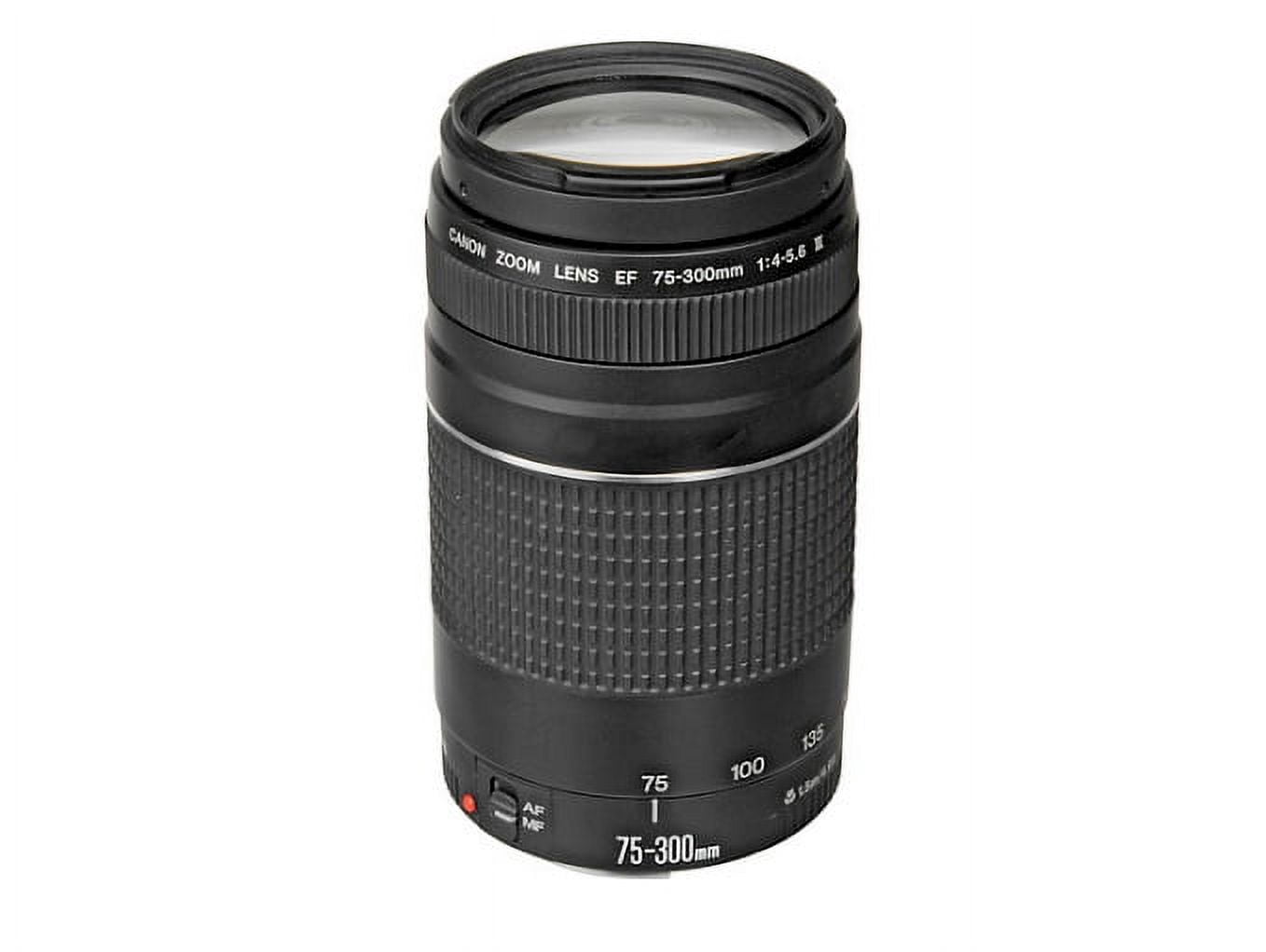 Canon EF 75-300mm F/4-5.6 III Lens