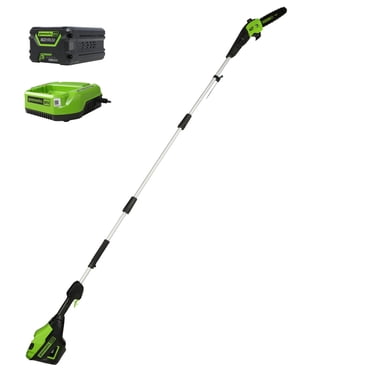 Greenworks Scie à Perche Sans Balais 60 V de 10 Pouces, Batterie 2,0 Ah et Chargeur Inclus