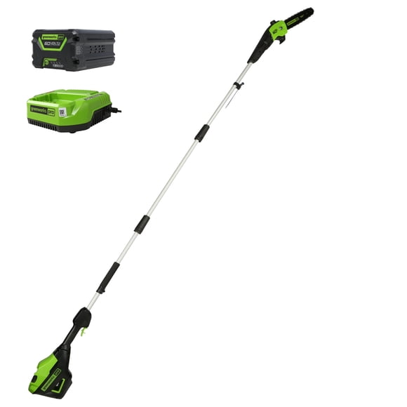 Greenworks Scie à Perche Sans Balais 60 V de 10 Pouces, Batterie 2,0 Ah et Chargeur Inclus